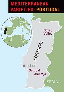portugal winegrowing