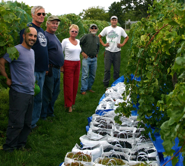 东部纽约准备迎接葡萄栽培专家